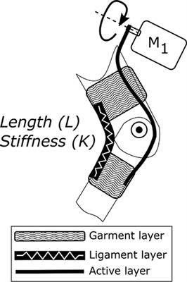 The Myosuit: Bi-articular Anti-gravity Exosuit That Reduces Hip Extensor Activity in Sitting Transfers